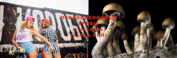 a pvp Беломорск