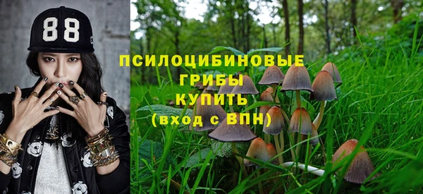 соль ск Богданович