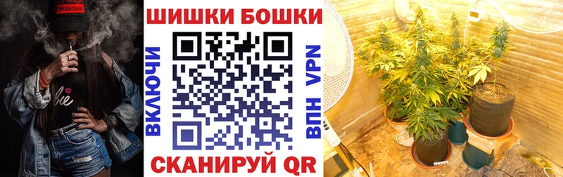 shop официальный сайт  Будённовск  Конопля Bruce Banner 
